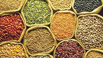 food Grain production