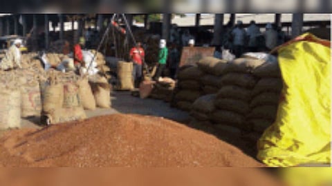 जालना : नाफेड तूर खरेदी केंद्राकडे शेतकऱ्यांची पाठ