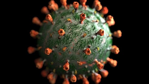 xe variant of coronavirus