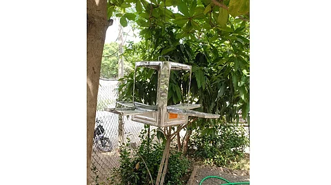 Police provided water and food for the birds