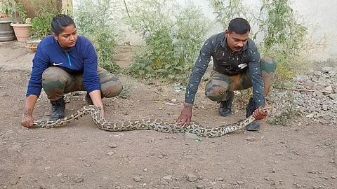 Python