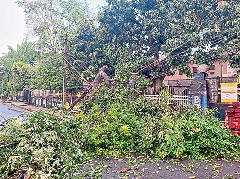 वीज खांब पडले