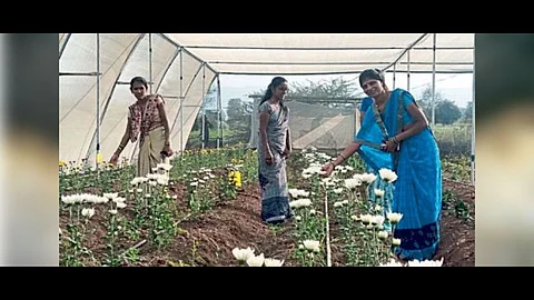 Success story of Bachat Gat Women flower cultivation Khandala hill satara