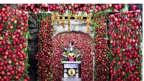 चैत्री यात्रेसाठी मोठ्य़ा संख्येने वारकरी भाविक येतील असा अंदाज आहे