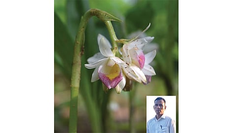 भाष्य : ज्ञान क्रांतीच्या उंबरठ्यावर