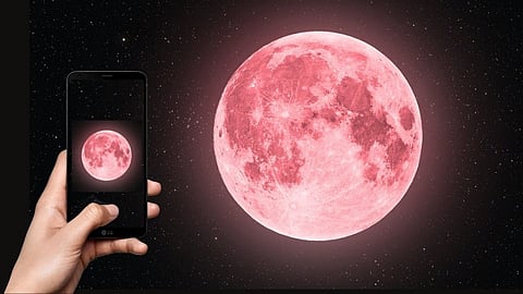 PINK MOON