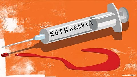 11 members of the same family want euthanasia