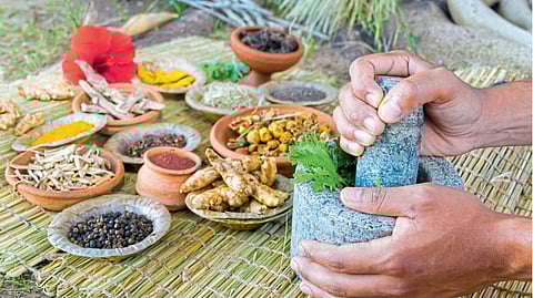 औषध दुकानांसह उत्पादकांच्या संख्येतही वाढ