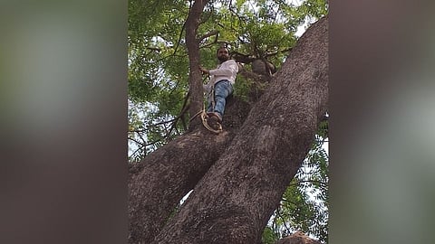 विरुगीरी