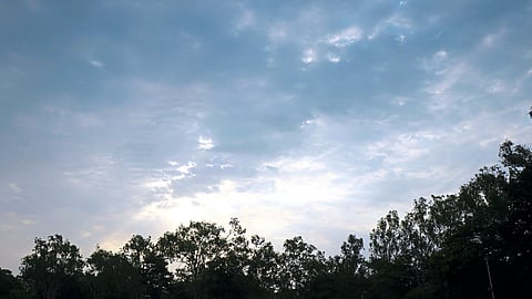 Temperature increased by cloudy weather Nashik News