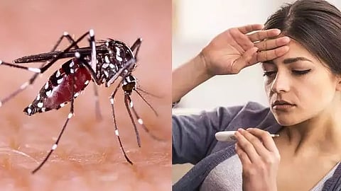 Dengue: Know about the symptoms, causes, and prevention