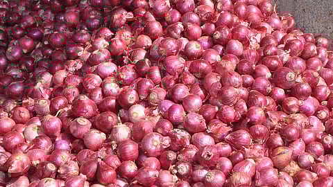 onion stock