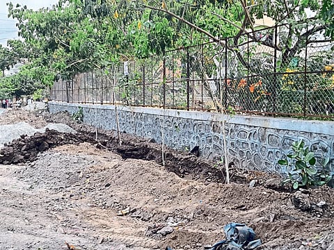 सोलापूर : महापालिकेचा हरितवनाचा स्तुत्य उपक्रम