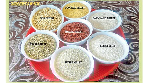 Grains