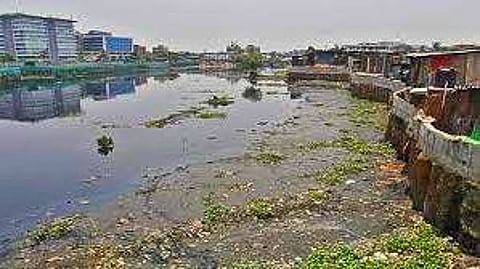 मिठी नदी