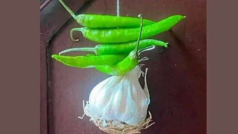 viral photo
