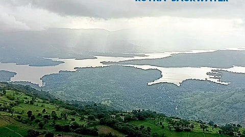 कोयना धरणाच्या डाव्या तीरावर