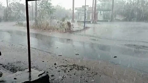 Osmanabad Rain| लोहारा, तुळजापुरात वादळी वाऱ्यासह पाऊस; पिकांचे मोठे नुकसान