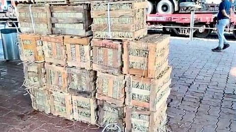 येथील रेल्वेस्थानकात ठेवलेल्या आंब्याच्या पेट्या.