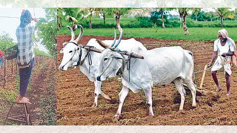 Kharif Season preparation