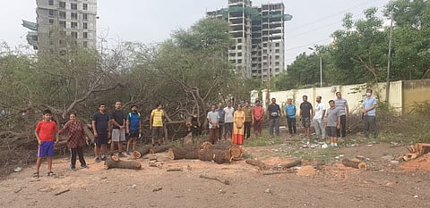 वृक्षतोड