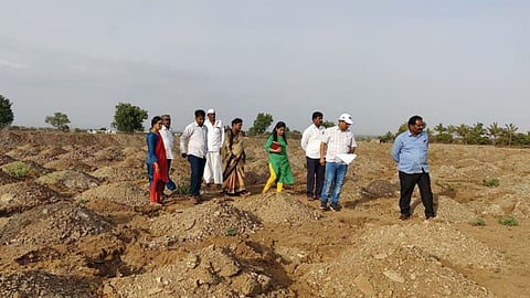 वृक्षारोपण