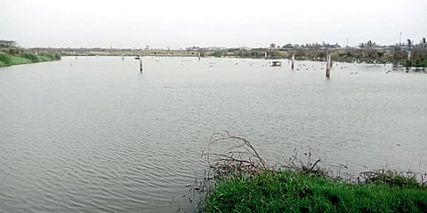 ‘जलसंपदा