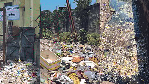 Black Spots latest marathi news