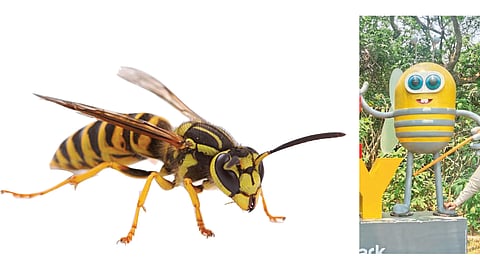 जागृती मोहिमेचे उठवा मोहोळ