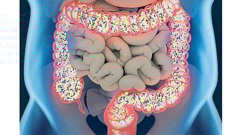 microbiome