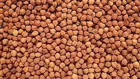 Nanded gram purchase Online registration deadline extend farmers Demand