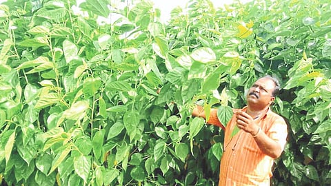 Farmer Sakhahari Jadhav