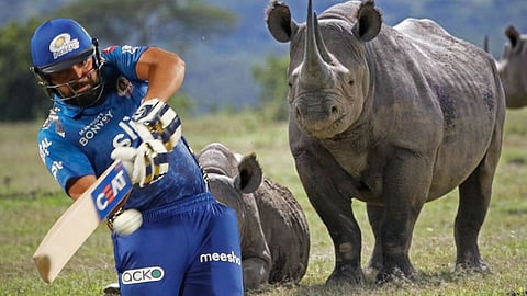 Rohit Sharma Six Scratch On Tata Punch Kaziranga National Park 5 Lakhs Gift TATA IPL