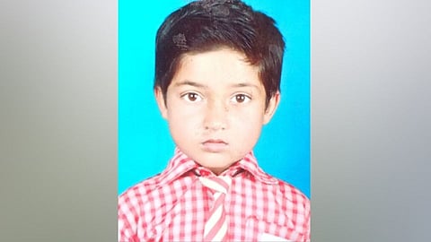 Snake Bites Boy In Jalna