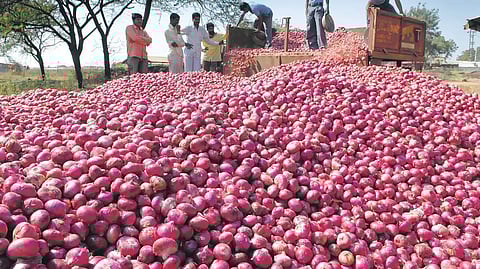 Onion export