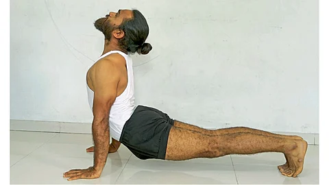 urdhwamukha svanasana