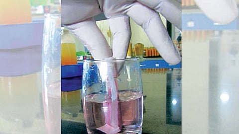 Patent to Konkan Agricultural University Deep and Make kokum syrup dabhol