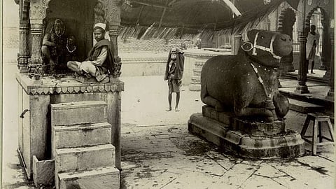gyanvapi nandi
