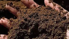 Fertilizer shortage decline in livestock inflation