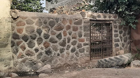 animal cage