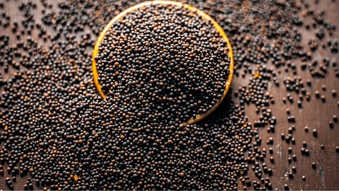 Mustard Seeds