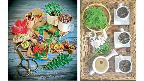 kitchen house management