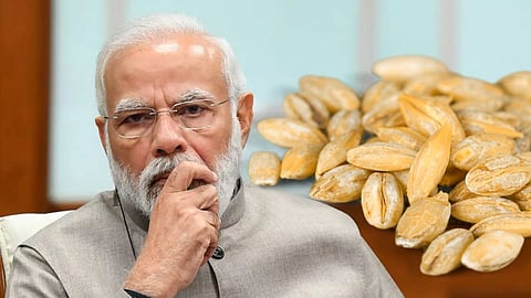 Russia-Ukraine War Opportunities central government Strong Steps for Wheat Exports new delhi