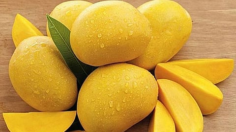 mango health benefits ayurveda skin glow heart