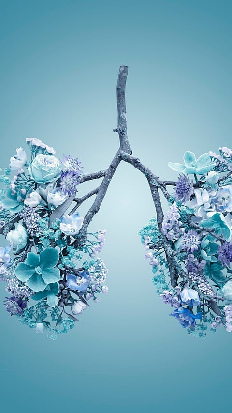 Asthma increased in women more than men