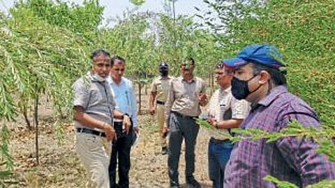 Nagpur 5000 tree plantation in Shivangaon Municipal Parks Department