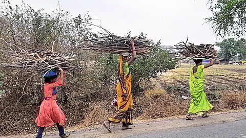 सर्वसामान्य ‘उज्ज्वला’ निघाल्या सरपण घेऊन