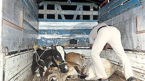 animals saved by dindori police