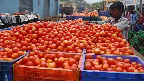 tomato price reaches 100 rupees per kg in mumbai