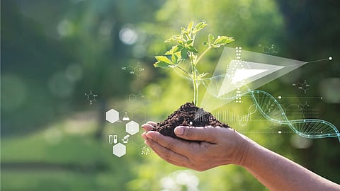 environment service scheme